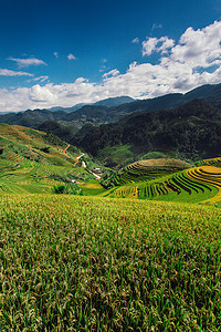 Yen Bai Mu Cang Chai 雨季梯田稻田