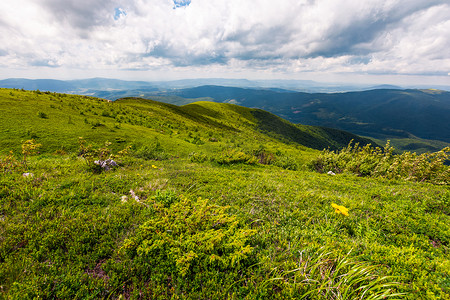 夏季喀尔巴阡阿尔卑斯山长满青草的山丘