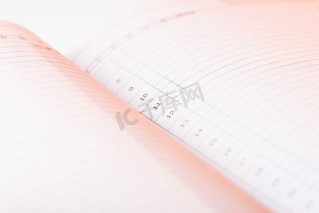 日记页摄影照片_清除未注明日期的日记页。