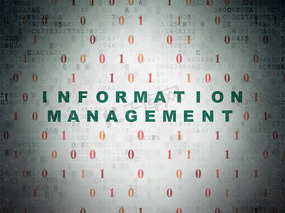 信息概念： 数字数据论文背景信息管理
