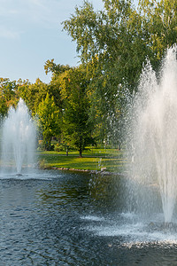 池塘里的喷泉，水清澈，岸边有绿色的草坪和树木。