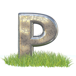 镀锌金属字体 Letter P in grass 3D