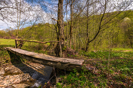 穿过森林溪流的木桥