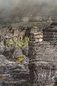 高原 Roraima tepui - 委内瑞拉的奇异古老岩石，