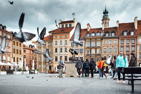 克拉科夫郊区华沙老广场上的飞鸽