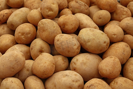 环卫日照片展示摄影照片_零售展示中的一堆新马铃薯特写