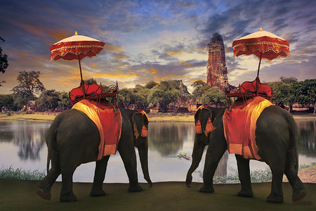 竖条印度花摄影照片_大象敷料与泰国王国传统配饰 standi