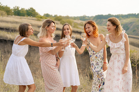 朋友的酒摄影照片_女性朋友的陪伴享受夏日野餐和举杯酒
