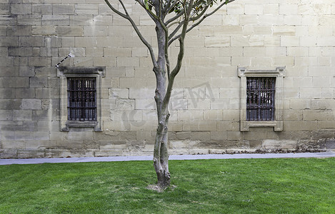 中世纪庭院中的树干