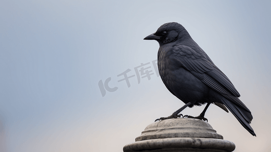 一只黑色的小鸟坐在雕像上
