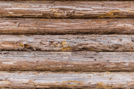 风化和开裂的原木木墙特写。
