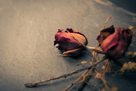 玫瑰花黑色摄影照片_石头上干玫瑰花的特写，记忆爱情的构想