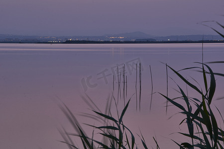 芦苇从摄影照片_大湖夕阳，从芦苇丛中，