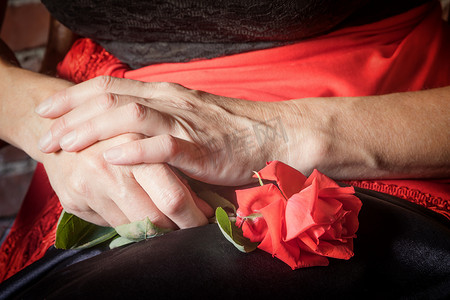 女性手中的红玫瑰花