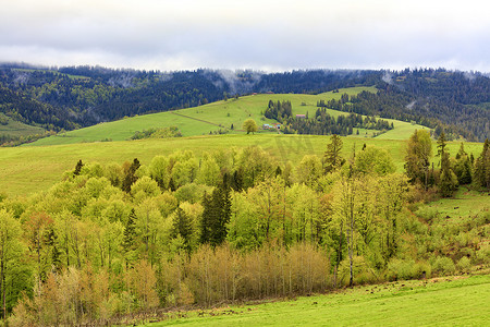 从高处俯瞰村庄和春天的喀尔巴阡山脉，上面长满了落叶幼树。