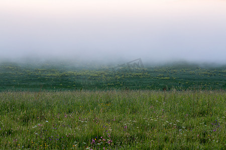 夏日晨雾下无树的简约野草草地