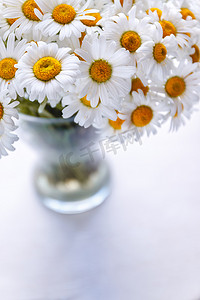 白色窗边摄影照片_窗边花瓶里的一束白色雏菊，在白色的 b 上
