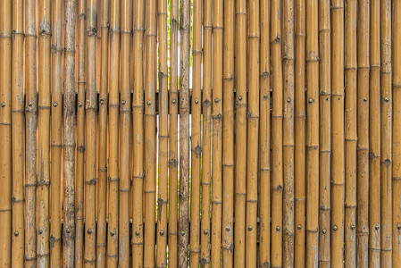 树文化墙摄影照片_背景竹栅栏墙纹理图案
