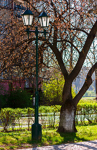 周围的环境摄影照片_樱花公园里的旧灯笼