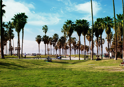 加利福尼亚州洛杉矶威尼斯海滩