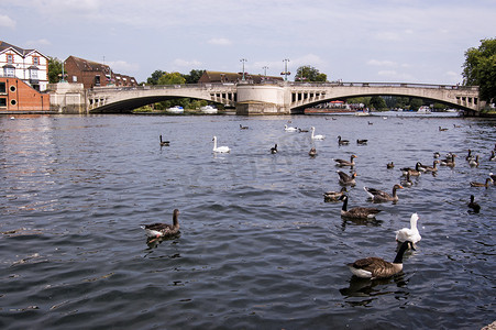 Caversham Bridge, 雷丁, 伯克希尔