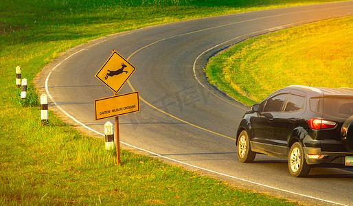 游客在黄色交通标志附近的弯道柏油路行驶时谨慎驾驶的黑色 SUV 车，鹿在标志内跳跃，并有“小心野生动物穿越”的信息