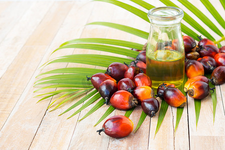 商业棕榈油种植。