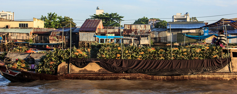 菠萝卖家乘船前往越南芹苴市湄公河的一条支流 Hau 河的水上市场