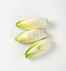 菊苣摄影照片_新鲜的比利时菊苣