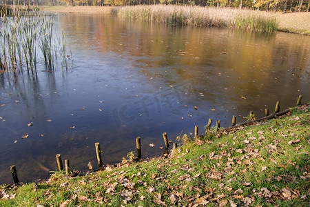 秋天的湖、池塘和草地照片。