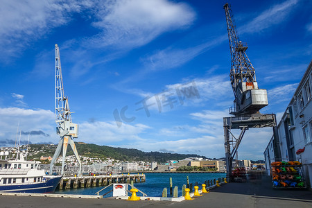 惠灵顿公学摄影照片_新西兰惠灵顿港口码头的起重机
