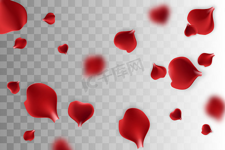 情人节玫瑰矢量摄影照片_红色玫瑰花瓣透明背景