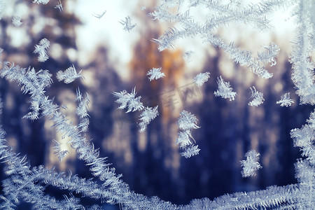 日落时分，森林外的冬季窗户上结霜的雪花图案。