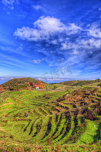 加那利群岛特内里费岛西北海岸和蓝天白云的绿草
