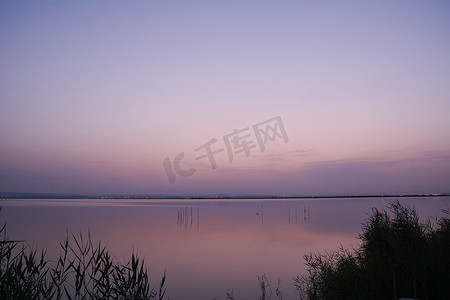 大湖夕阳，从芦苇丛中，
