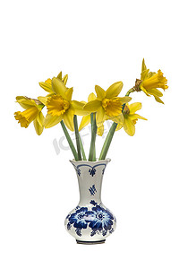 植物b摄影照片_白色 b 的代尔夫特蓝色花瓶中盛开的水仙花花束