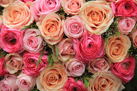 粉色玫瑰花瓣摄影照片_粉色玫瑰新娘捧花