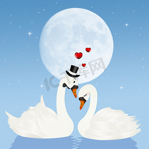 爱在月亮上的天鹅