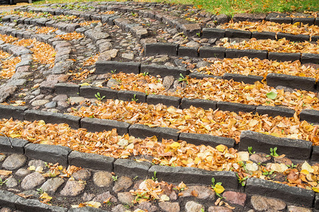 秋叶黄色摄影照片_有许多秋叶的石头楼梯