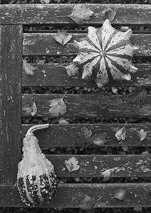 风化长凳上的荆棘王冠和梨形葫芦