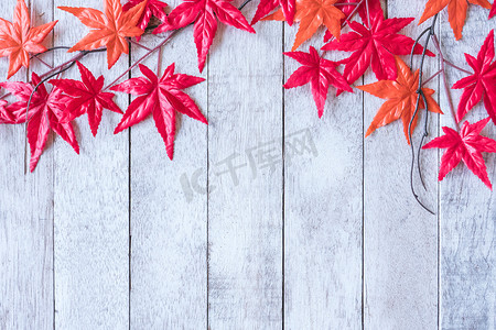 秋天木板背景摄影照片_白漆木板背景上的枫叶。