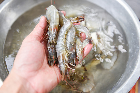 手拿鲜虾烹调海鲜 — 生虾虾