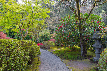 日本花园的小径
