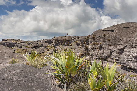 高原 Roraima tepui - 委内瑞拉的奇异古老岩石，