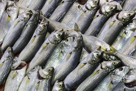 海鲜市场的鲜鱼