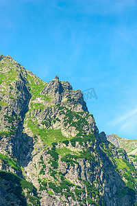陡峭的山顶，覆盖着天空的植物，特写
