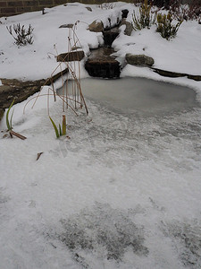 冰池塘摄影照片_带溪流和瀑布的花园池塘，水上有雪和冰冻