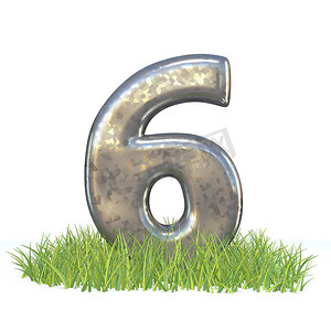镀锌金属字体 Number SIX 6 in grass 3D