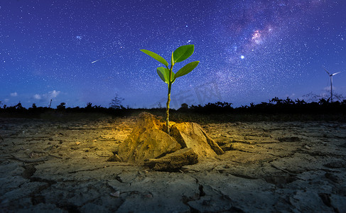 棕色干旱旱地土壤或破裂的地面质地和绿树，在星空和蓝色日落天空背景下，农业贫瘠，全球变暖。