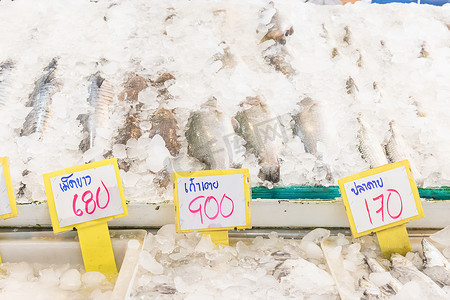 新鲜的咸水鱼在市场上